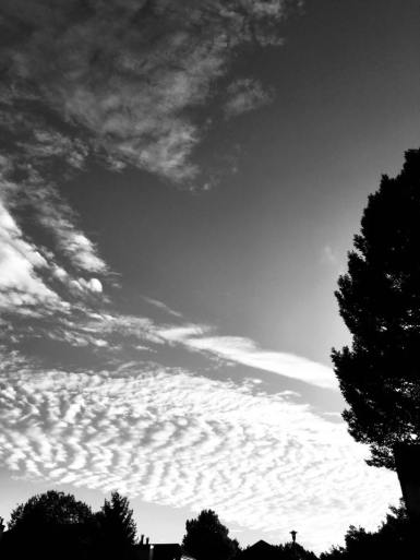 26229979_1738878579464630_6461065317094793921_n